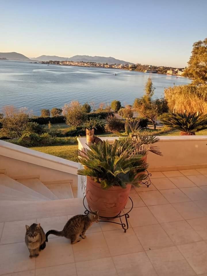 Harmony Seafront * Preveza
